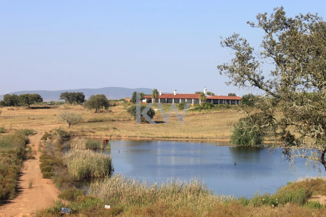 Quinta T5 para Venda em Vila Nova de São Bento e Vale de Vargo Foto 2