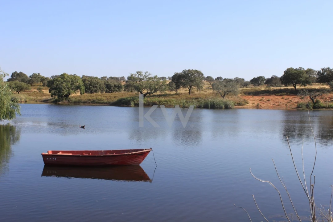 Quinta T5 para Venda em Vila Nova de São Bento e Vale de Vargo Foto 1