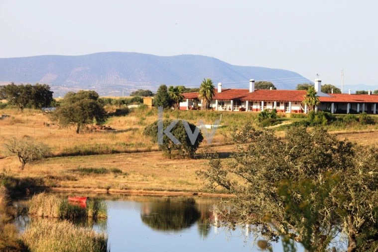 Quinta T5 para Venda em Vila Nova de São Bento e Vale de Vargo Foto 3