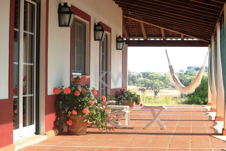 Quinta T5 para Venda em Vila Nova de São Bento e Vale de Vargo Foto 29