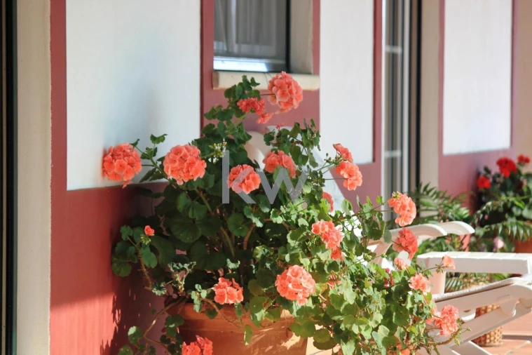 Quinta T5 para Venda em Vila Nova de São Bento e Vale de Vargo Foto 30