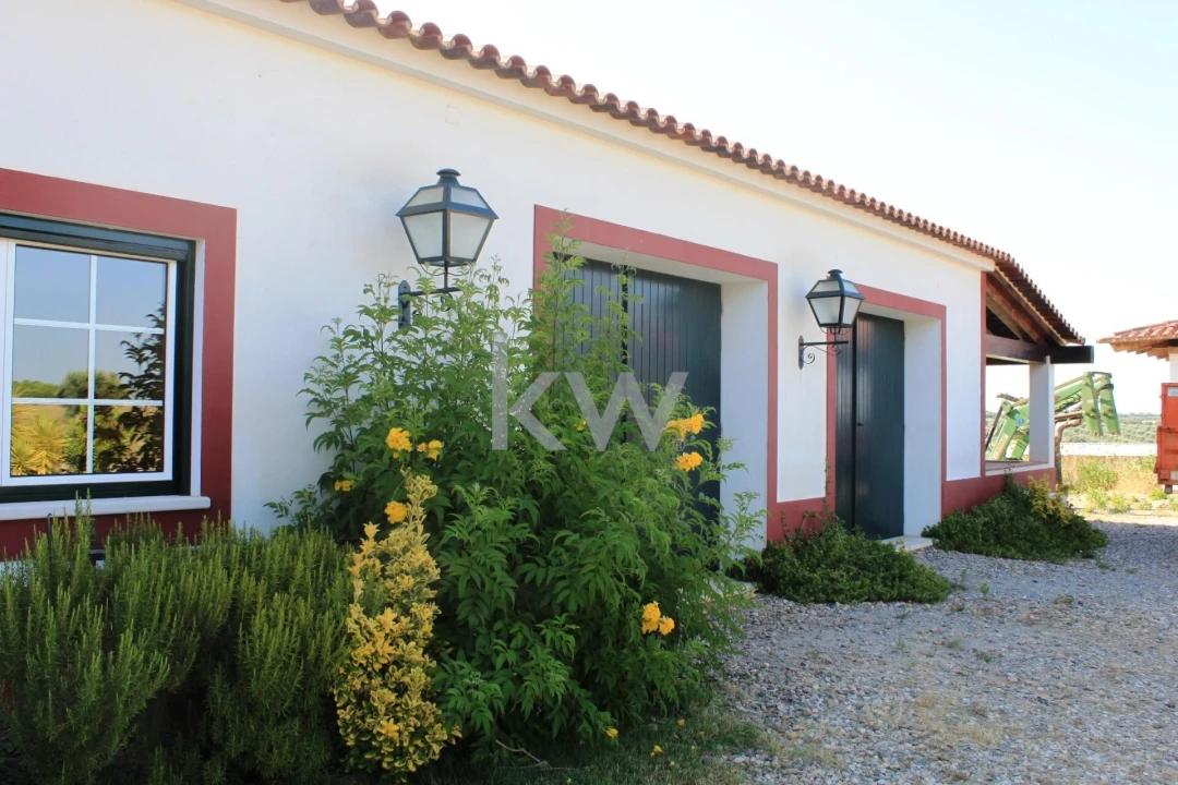 Quinta T5 para Venda em Vila Nova de São Bento e Vale de Vargo Foto 6