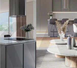 Apartamento T2 para Venda em Paranhos