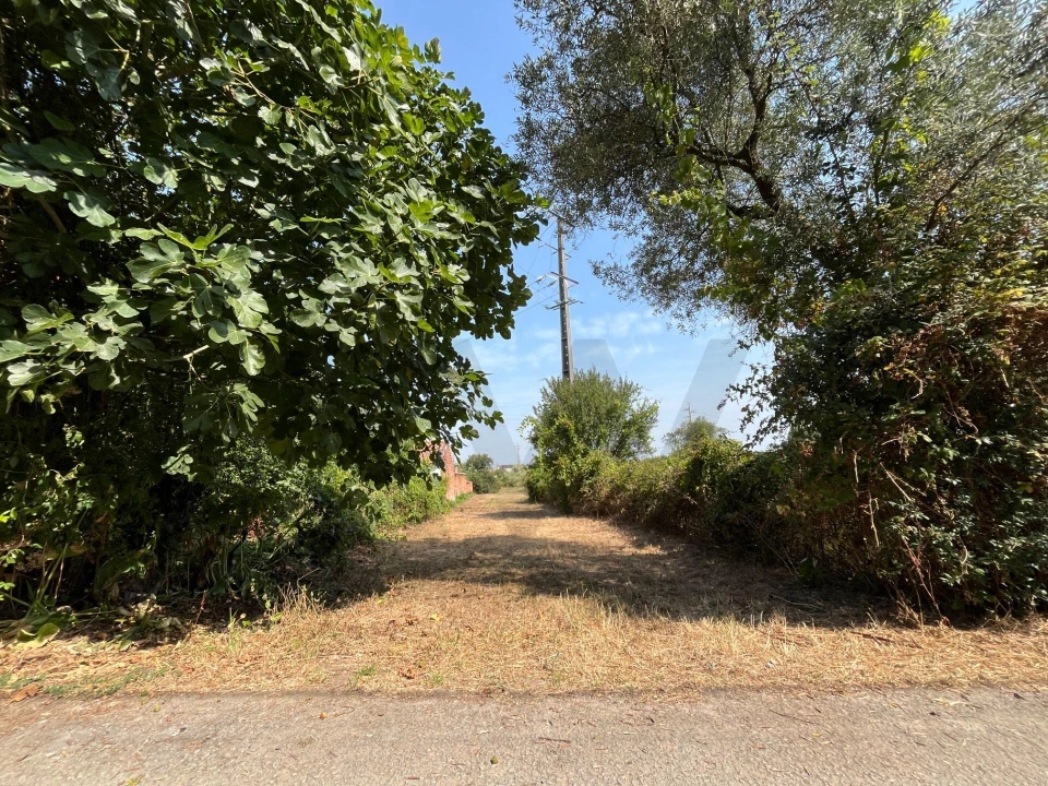 Terreno para Venda em Cacia Foto 1