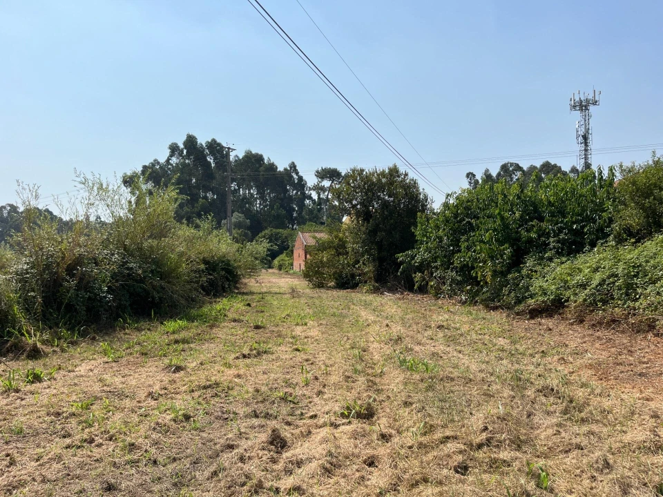 Terreno para Venda em Cacia Foto 5