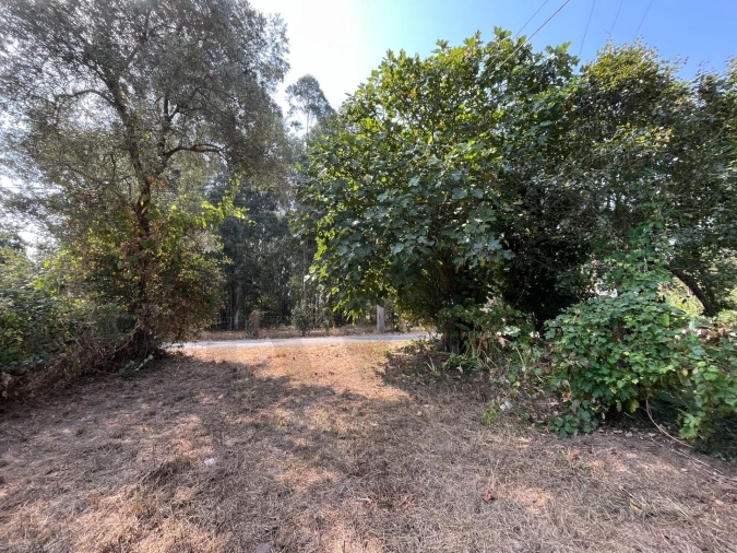 Terreno para Venda em Cacia Foto 3