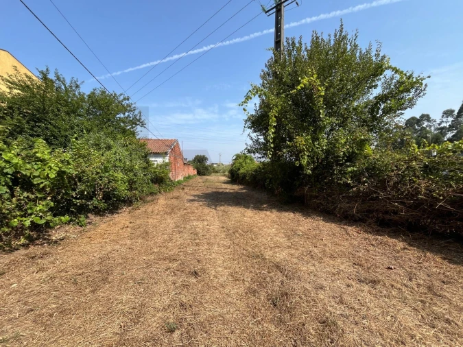Terreno para Venda em Cacia Foto 4