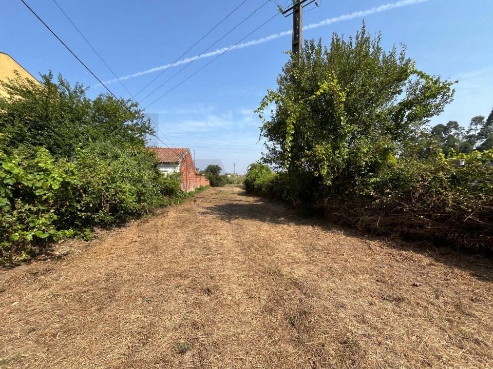 Terreno para Venda em Cacia Foto 4