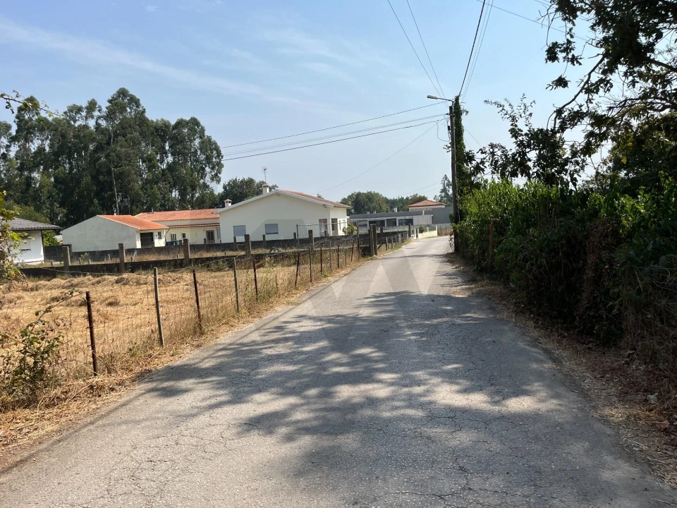 Terreno para Venda em Cacia Foto 6