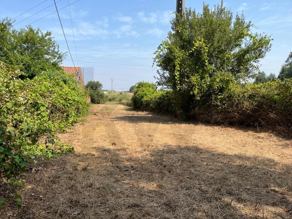 Terreno para Venda em Cacia Foto 2