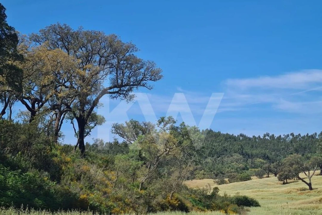 Terreno para Venda em Reliquias Foto 7