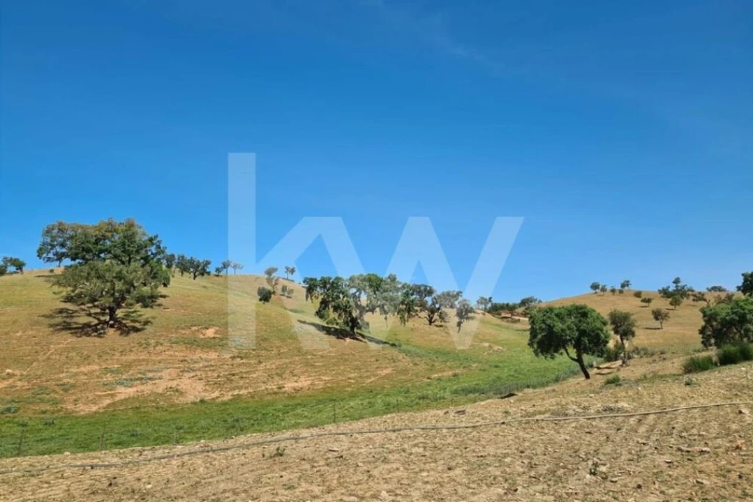 Terreno para Venda em Reliquias Foto 19