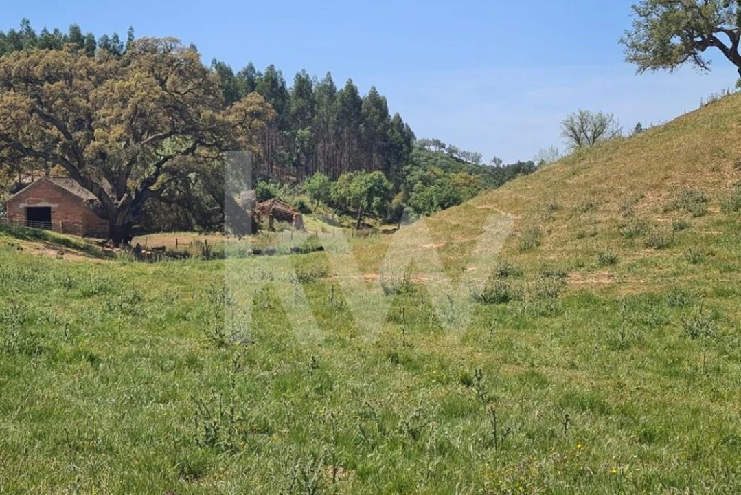 Terreno para Venda em Reliquias Foto 2