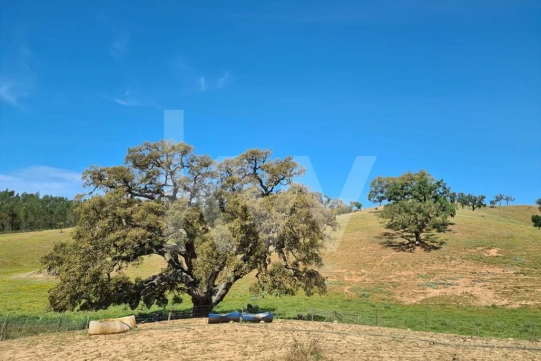 Terreno para Venda em Reliquias Foto 18