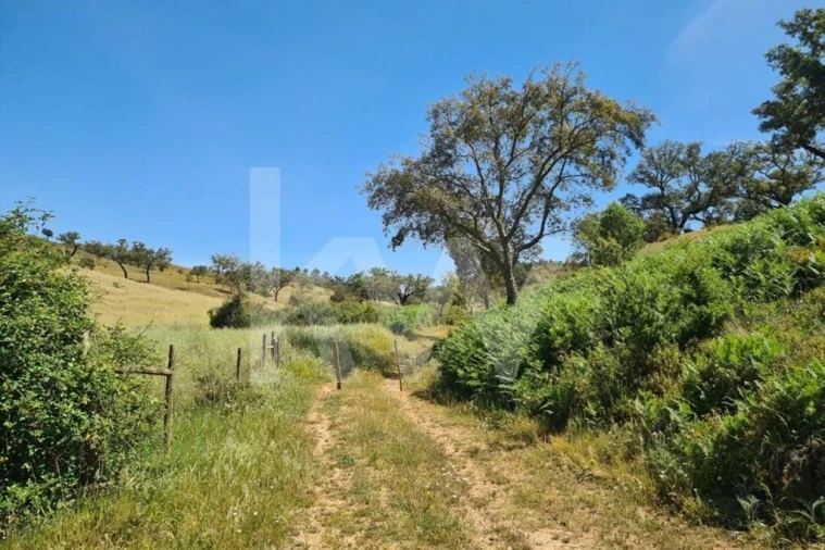 Terreno para Venda em Reliquias Foto 17
