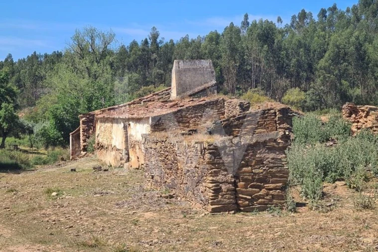 Terreno para Venda em Reliquias Foto 13