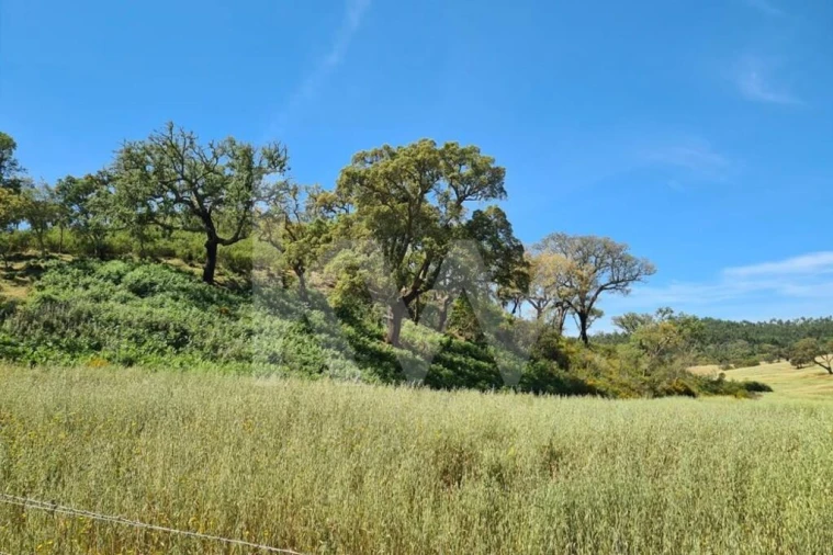 Terreno para Venda em Reliquias Foto 10