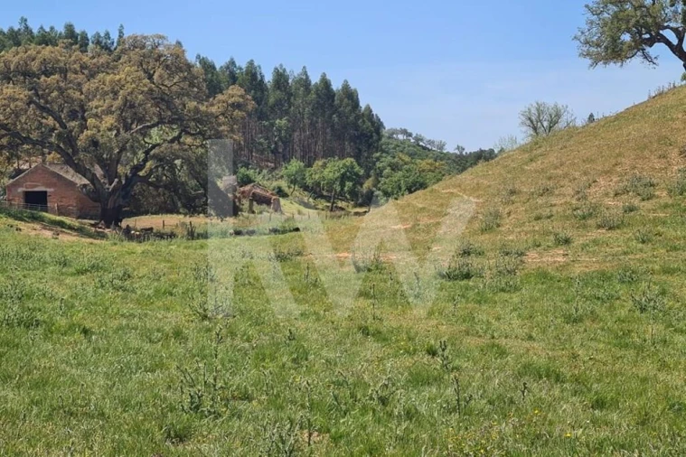 Terreno para Venda em Reliquias Foto 2