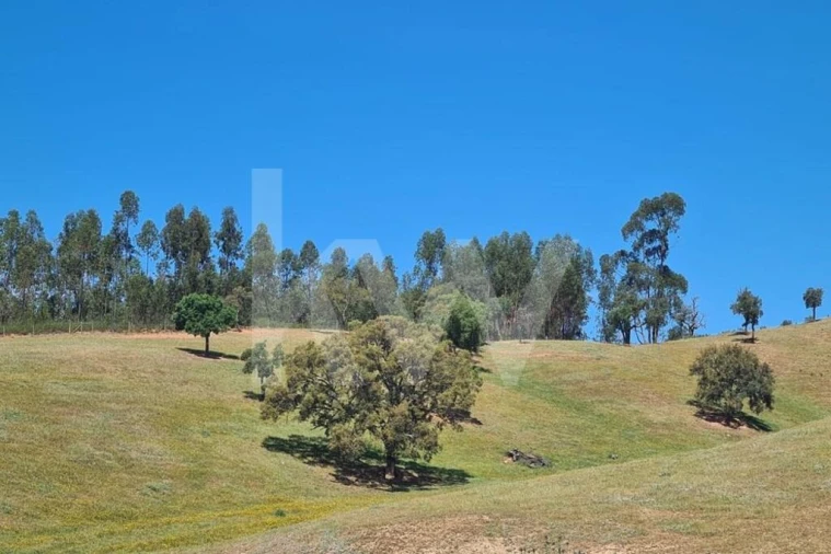 Terreno para Venda em Reliquias Foto 16
