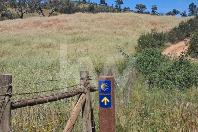 Terreno para Venda em Reliquias Foto 5