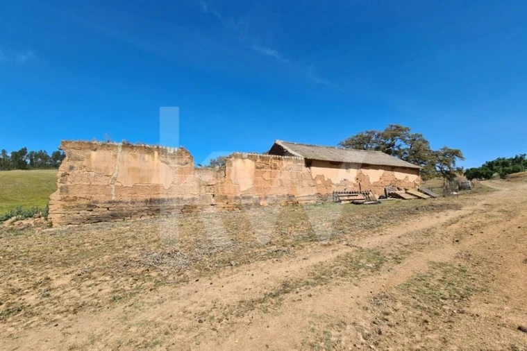 Terreno para Venda em Reliquias Foto 14