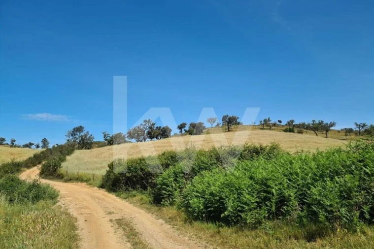 Terreno para Venda em Reliquias Foto 3