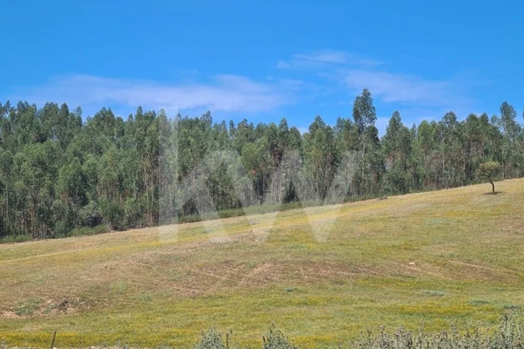 Terreno para Venda em Reliquias Foto 20