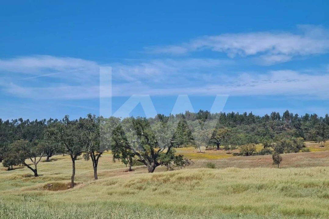 Terreno para Venda em Reliquias Foto 8