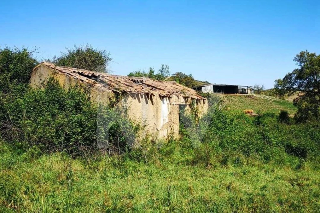 Quinta T5 para Venda em São Teotónio Foto 11