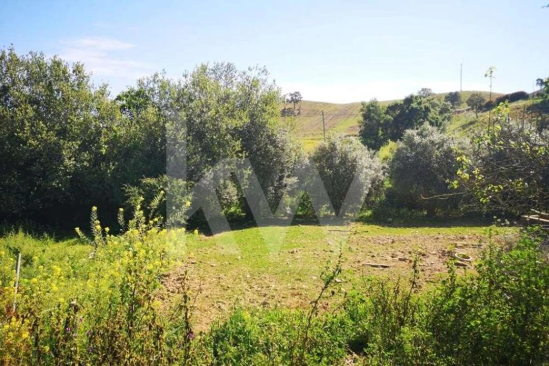 Quinta T5 para Venda em São Teotónio Foto 17