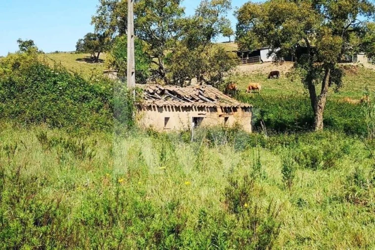 Quinta T5 para Venda em São Teotónio Foto 12