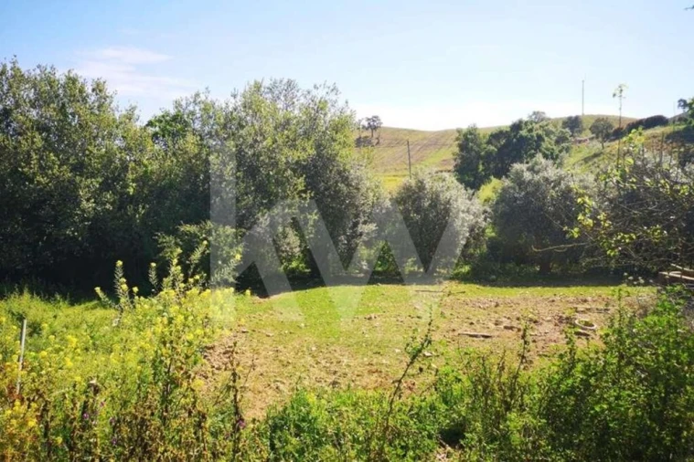 Quinta T5 para Venda em São Teotónio Foto 17