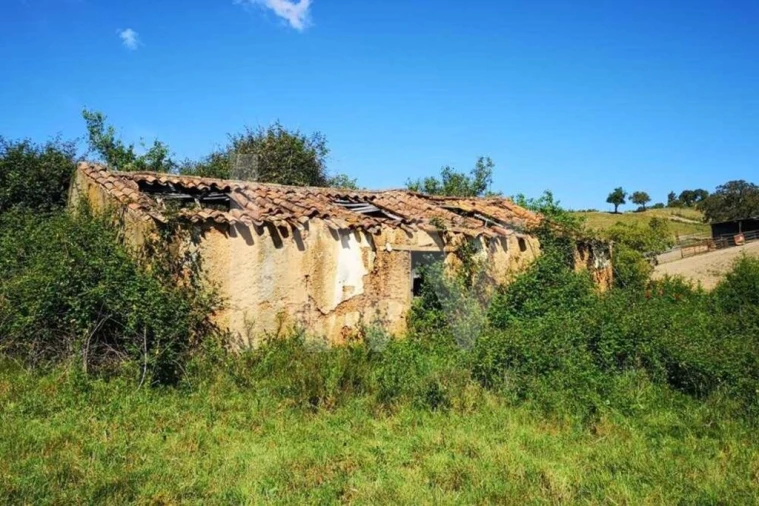 Quinta T5 para Venda em São Teotónio Foto 9