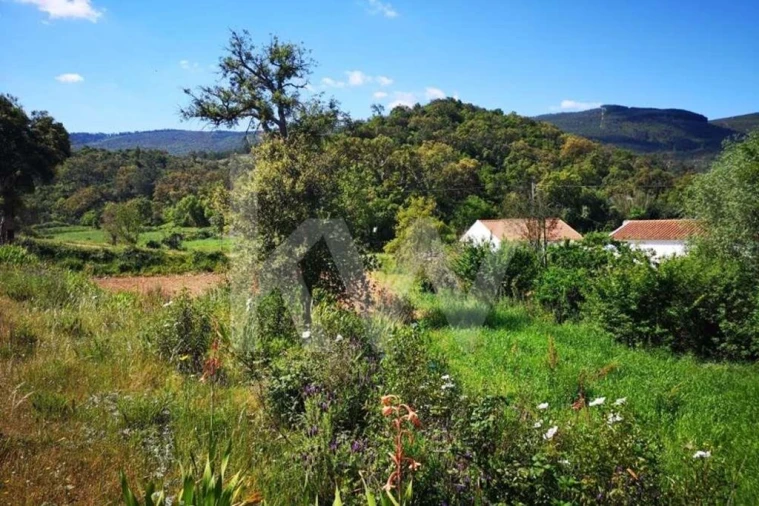 Quinta T5 para Venda em São Teotónio Foto 19