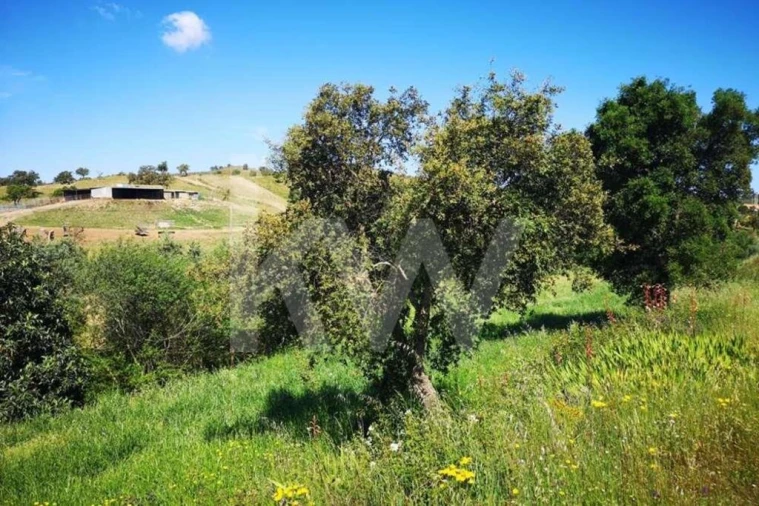 Quinta T5 para Venda em São Teotónio Foto 20