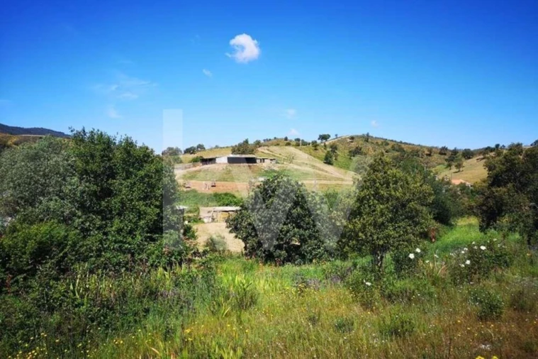 Quinta T5 para Venda em São Teotónio Foto 1