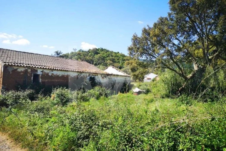 Quinta T5 para Venda em São Teotónio Foto 14