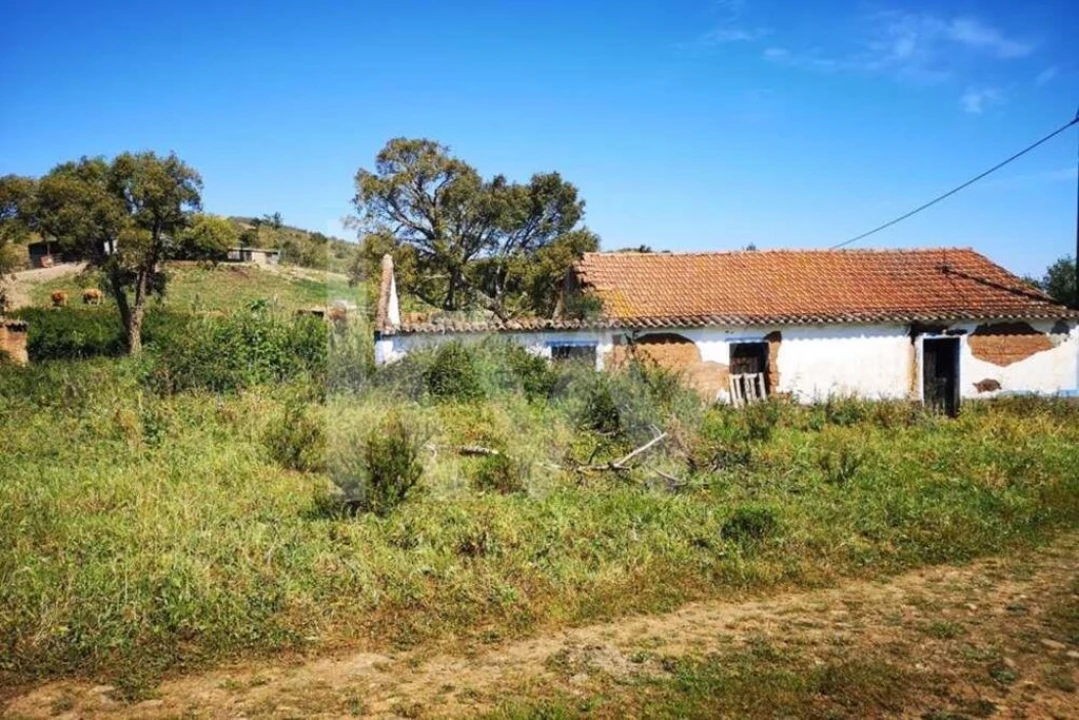 Quinta T5 para Venda em São Teotónio Foto 5