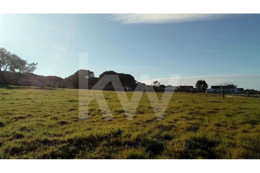 Terreno para Venda em Couço Foto 13