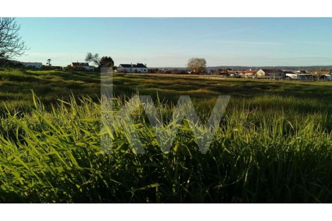Terreno para Venda em Couço Foto 15