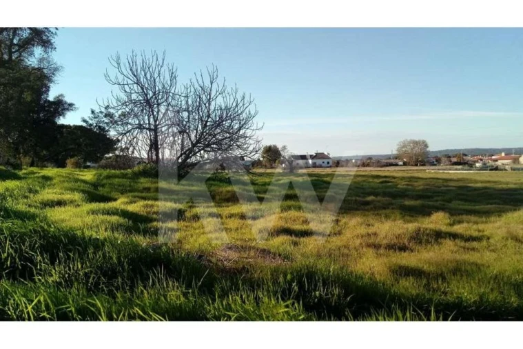 Terreno para Venda em Couço Foto 11