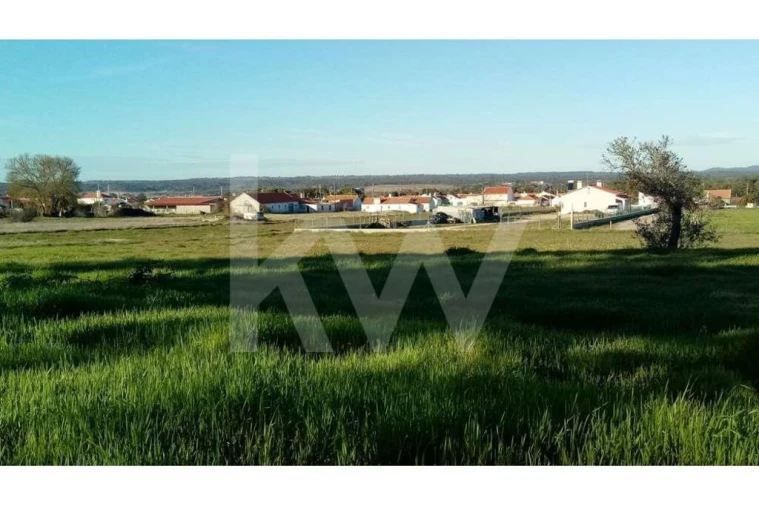 Terreno para Venda em Couço Foto 10