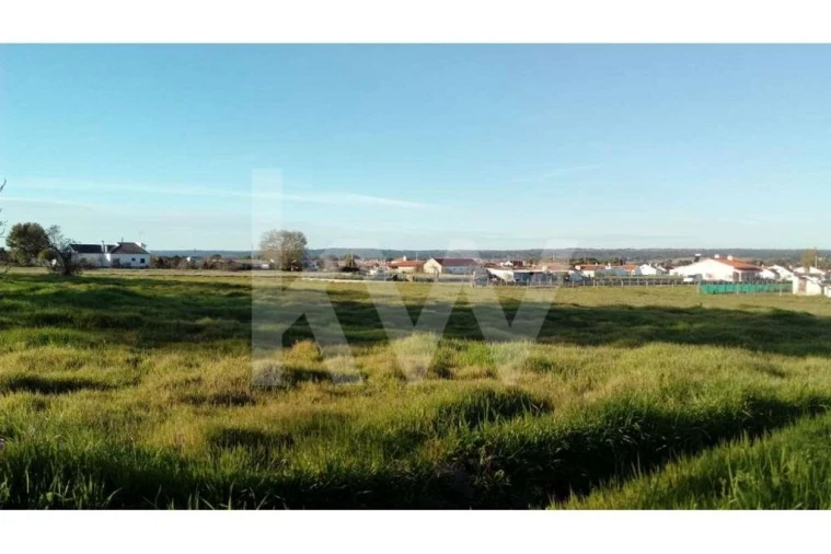 Terreno para Venda em Couço Foto 14