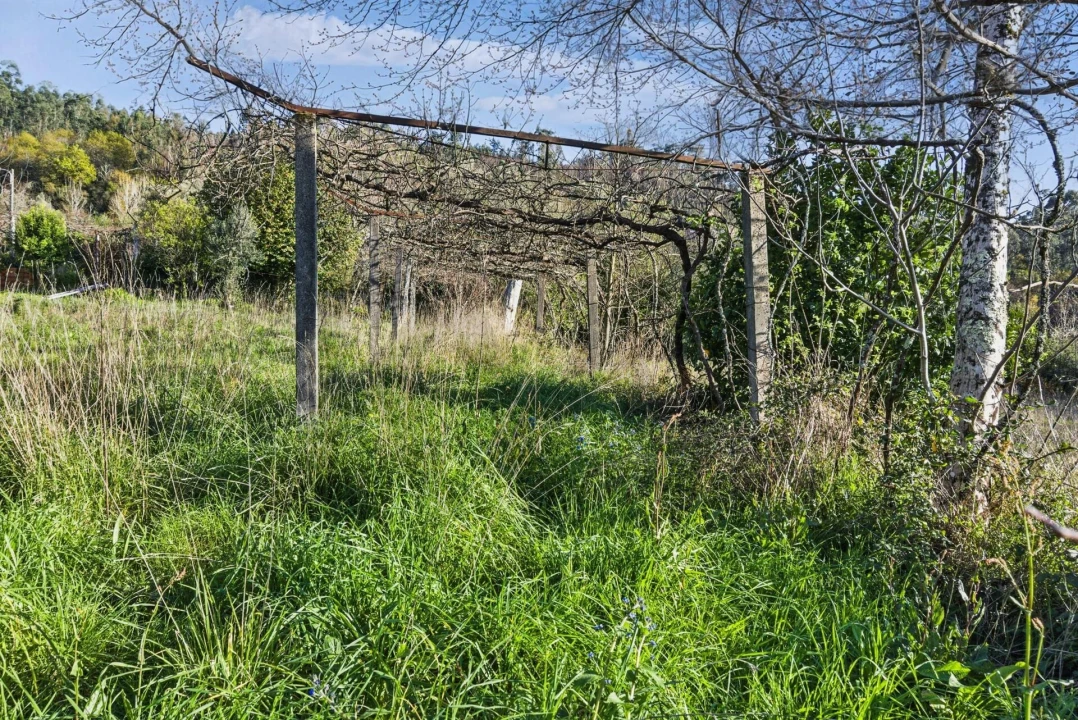 Moradia T3 para Venda em Pico de Regalados, Gondiães e Mós Foto 16
