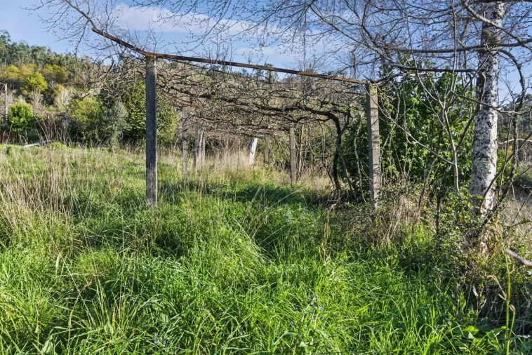 Moradia T3 para Venda em Pico de Regalados, Gondiães e Mós Foto 16