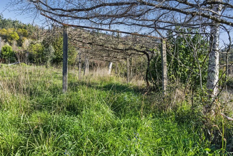 Moradia T3 para Venda em Pico de Regalados, Gondiães e Mós Foto 15