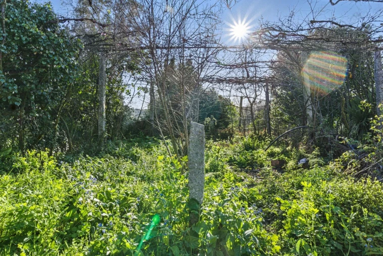 Moradia T3 para Venda em Pico de Regalados, Gondiães e Mós Foto 18