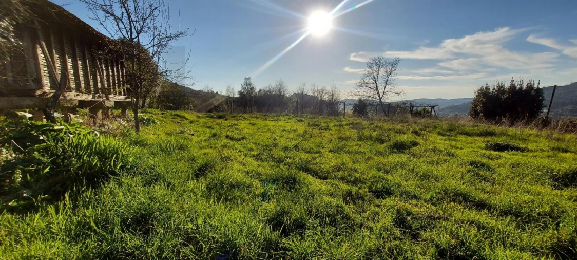 Moradia T3 para Venda em Pico de Regalados, Gondiães e Mós Foto 27