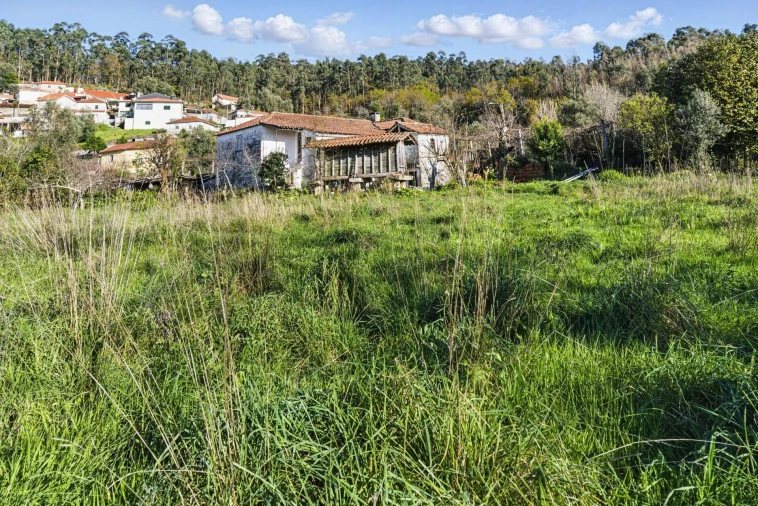 Moradia T3 para Venda em Pico de Regalados, Gondiães e Mós Foto 14