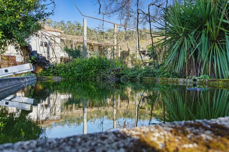 Moradia T3 para Venda em Pico de Regalados, Gondiães e Mós Foto 13